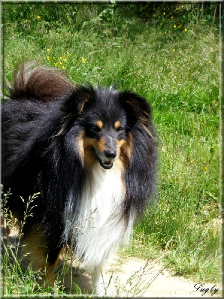 Chouchou dit charlie Des pitchouns d'aou loun