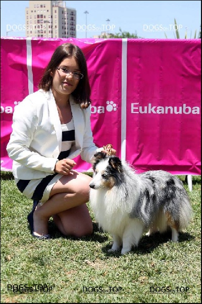 CH. Chipie Des pitchouns d'aou loun
